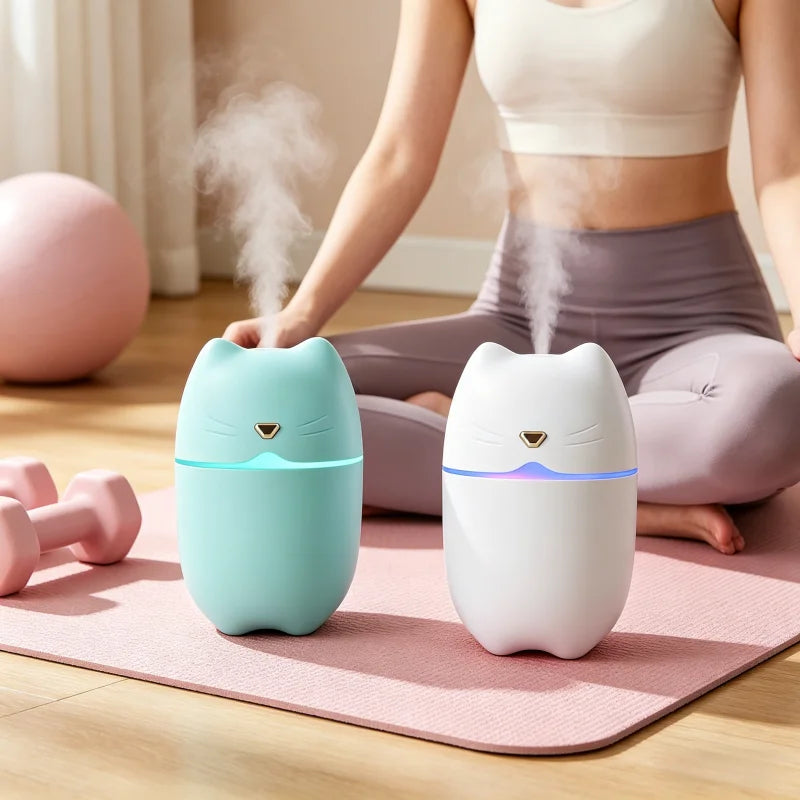 Portable Mini Yoga Humidifier
